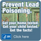 Prevent Lead Poisoning. Get your home tested. Get your child tested. Get the facts! Click here�